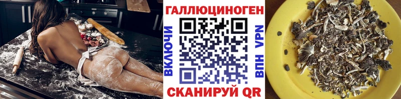 Псилоцибиновые грибы Magic Shrooms  Ростов-на-Дону 